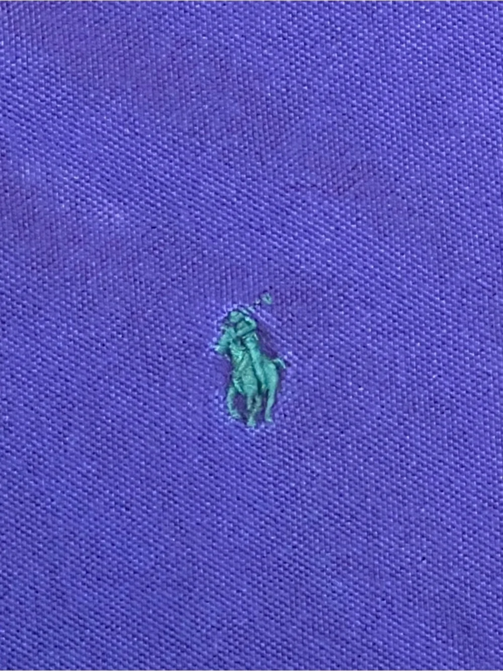 Ralph Lauren Men's Polo Shirt in Purple with Green Pony